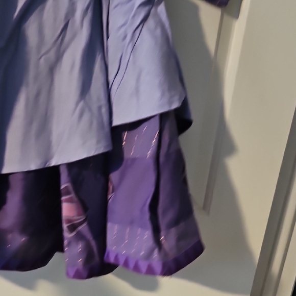 Disney Wish Purple and Blue Kids Costume - Picture 7 of 9